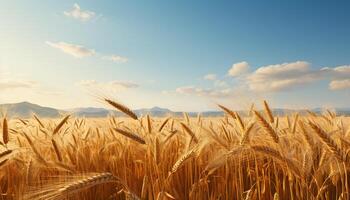 ai gerado dourado trigo Campos debaixo uma verão pôr do sol, natureza generoso colheita gerado de ai foto