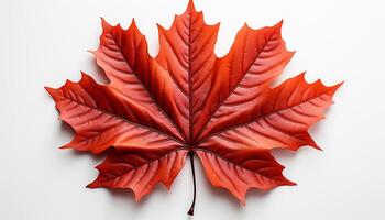 ai gerado outono vibrante cores decorar natureza pano de fundo dentro uma frondoso padronizar gerado de ai foto