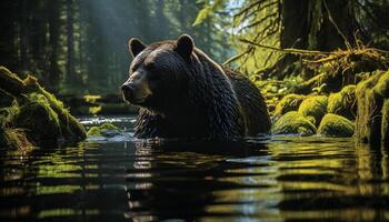 ai gerado majestoso grisalho Urso natação dentro tranquilo lago, cercado de região selvagem gerado de ai foto