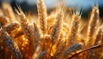 ai gerado rural cena amarelo trigo crescimento, maduro colheita, orgânico Comida gerado de ai foto