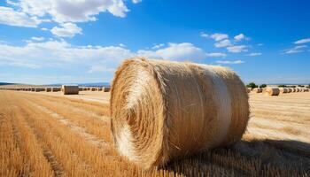 ai gerado colhido trigo fardos lista através dourado rural panorama gerado de ai foto