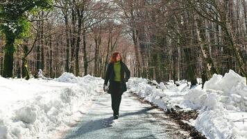 jovem mulher caminhando dentro uma Nevado rua com a guarda-chuva foto