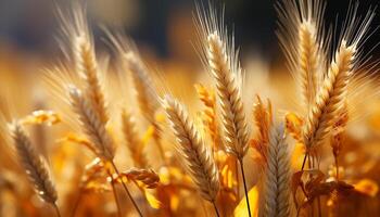 ai gerado rural cena dourado trigo, maduro cevada, orgânico colheita gerado de ai foto