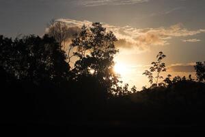 natureza fotografia, lindo pôr do sol foto