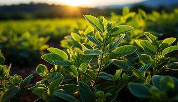 ai gerado frescor e crescimento dentro natureza vibrante verde cor gerado de ai foto