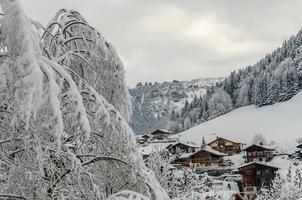 árvore nevada e chalés morzine vilage foto