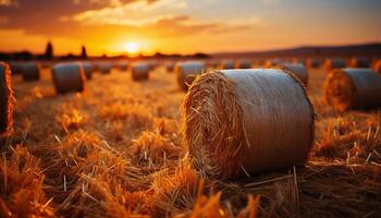 ai gerado rural Fazenda Prado, pôr do sol palheiros, dourado trigo, outono panorama gerado de ai foto