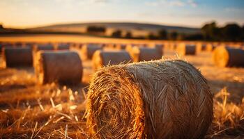 ai gerado agricultura beleza dentro natureza amarelo Prado, enrolado acima palheiros gerado de ai foto