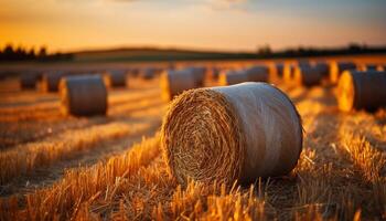 ai gerado pôr do sol sobre uma rural fazenda, Prado dourado com colhido trigo gerado de ai foto