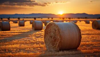 ai gerado pôr do sol sobre uma rural fazenda, Prado dourado com colhido trigo gerado de ai foto