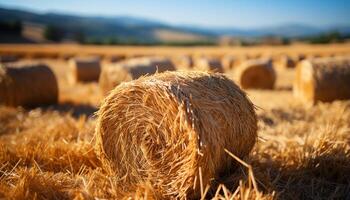 ai gerado dourado palheiros ponto a rural paisagem, uma colheita dentro movimento gerado de ai foto