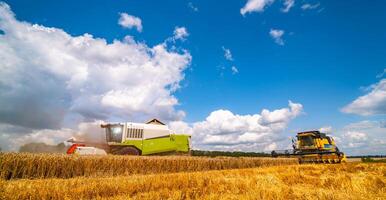 agricultura máquina colheita colheita dentro Campos, especial Tecnico dentro Ação. agrícola conceito. maduro colheita panorama. cereal reunião. pesado maquinaria, azul céu acima campo. foto