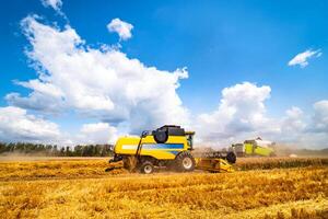 agricultura máquina colheita colheita dentro Campos, especial Tecnico dentro Ação. agrícola conceito. maduro colheita panorama. cereal reunião. pesado maquinaria, azul céu acima campo. foto