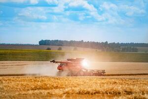 vermelho grão colheita combinar dentro uma ensolarado dia. amarelo campo com grão. agrícola Tecnico trabalho dentro campo. fechar-se. foto