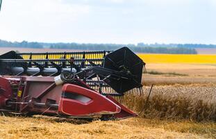 grão colheita equipamento dentro a campo. colheita tempo. agrícola setor foto