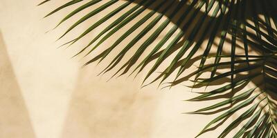ai gerado verde tropical Palma folha em isolado pastel fundo. espaço para texto foto