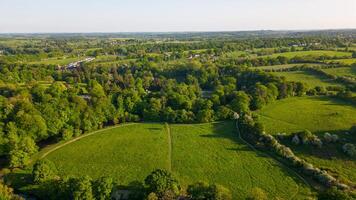 cênico Visão do a floresta dentro yorkshire durante a verão foto