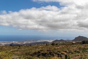 cênico Visão do uma exuberante verde floresta com uma Claro azul céu e distante edifícios, adequado para fundos ou natureza temas dentro tenerife. foto