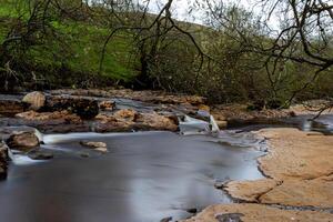 sereno corrente com suave água fluindo sobre rochas, cercado de exuberante vegetação e árvores dentro uma tranquilo floresta configuração dentro yorkshire vales. foto