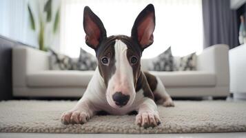 ai gerado fofa touro terrier confortavelmente mentiras em uma branco tapete, adicionando uma delicioso toque para a vivo sala, ai gerado. foto