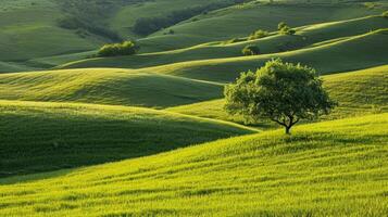 ai gerado pequeno colinas adornado com uma exuberante verde Relva campo, da natureza simples beleza, ai gerado. foto