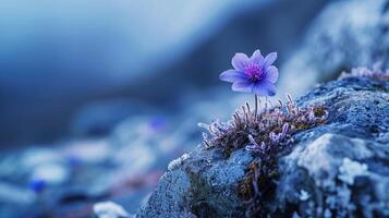 ai gerado delicado flor desafia severo tundra, uma resiliente flor enfeitando áspero Rocha penhascos, ai gerado. foto