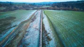 aéreo Visão do uma rural panorama com uma sujeira estrada corte através verde Campos às crepúsculo. foto