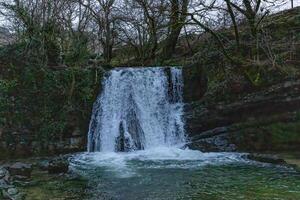 sereno cascata dentro uma exuberante floresta configuração com Claro água em cascata sobre pedras. foto