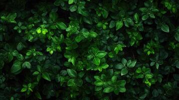 ai gerado exuberante verde folhagem textura, capturando da natureza intrincado padrões e vibrante matizes, ai gerado. foto