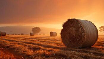 ai gerado dourado pôr do sol sobre uma rural Prado, palheiros lista dentro natureza gerado de ai foto