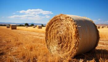 ai gerado rural cena palheiros enrolado acima, Prado amarelo com colhido trigo gerado de ai foto