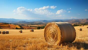 ai gerado agricultura crescimento dentro rural cena trigo, feno, e cevada Campos gerado de ai foto