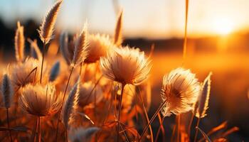 ai gerado brilhante pôr do sol silhuetas trigo, Prado, e flores silvestres dentro natureza beleza gerado de ai foto