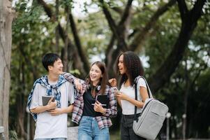 jovem Faculdade alunos e uma fêmea aluna grupo trabalhos às a campus parque foto