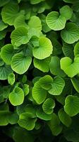 ai gerado abundante vegetação múltiplo tiros do uma exuberante verde folhas fundo vertical Móvel papel de parede foto