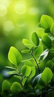 ai gerado iluminado pelo sol folhagem fresco verde folhas com bokeh em natureza pano de fundo vertical Móvel papel de parede foto