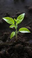 ai gerado verde crescimento topo Visão do jovem abacate plantar emergente a partir de solo vertical Móvel papel de parede foto