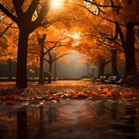 ai gerado outono parque brilha com calor abaixo uma marquise do laranja para social meios de comunicação postar Tamanho foto