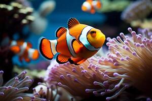 ai gerado embaixo da agua Magia palhaço peixe explorar uma vivaz, colorida coral recife foto
