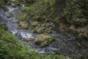 uma pequeno cascata perto a Vila do panela dentro Sérvia foto