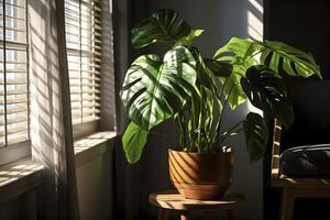 ai gerado monstera plantar dentro a interior de a janela. saudável meio Ambiente com vegetação. ai gerado foto