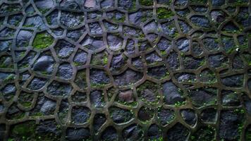 textura do uma pedra muro. molhado pedra parede com musgo crescendo em pedra foto