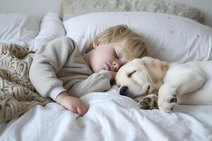 ai gerado fofa pequeno Garoto dormindo com labrador retriever cachorro em cama. foto