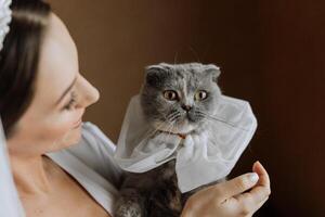 jovem, elegante, menina dentro a imagem do uma noiva com uma lindo grampo e uma tiara em dela cabeça, segurando dela animal gato dentro dela braços foto