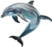 ai gerado golfinho em branco isolado fundo foto