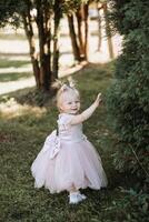 retrato do uma lindo pequeno Princesa menina dentro uma Rosa vestir. encenação dentro uma parque em verde grama. brincalhão e feliz criança. foto