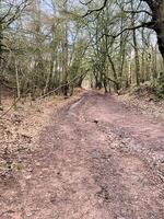 uma vista da zona rural de cheshire em peckforton foto