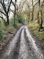 uma vista da zona rural de cheshire em peckforton foto