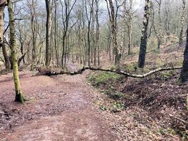 uma vista da zona rural de cheshire em peckforton foto