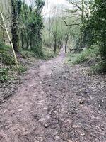 uma vista da zona rural de cheshire em peckforton foto